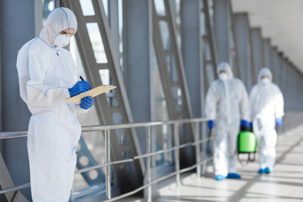Best Mold Damage Restoration  in Dolgeville, NY