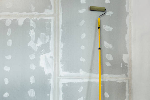 Trusted Dolgeville, NY Mold Removal Experts